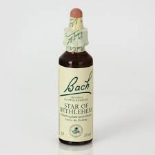 Bach 29 Star Of Bethlehem 20ml ( Estrella De Belen
