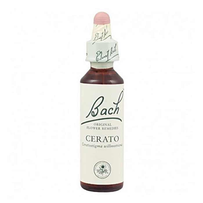 Santiveri Bach Cerato 10ml Jag Couture London - New York