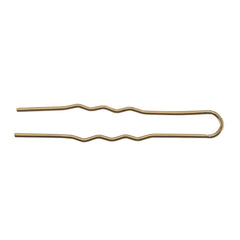 Eurostil Cabello Bolsa De Horquillas Invisible Bronze 20un
