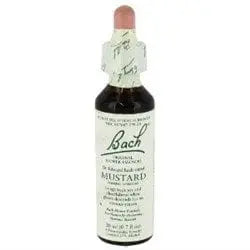 Jag Couture London - New York Bach 21 Mustard 20ml