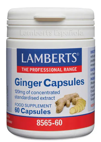 Lamberts Ginger Extracto Jengibre 60 Caps Jag Couture London - New York
