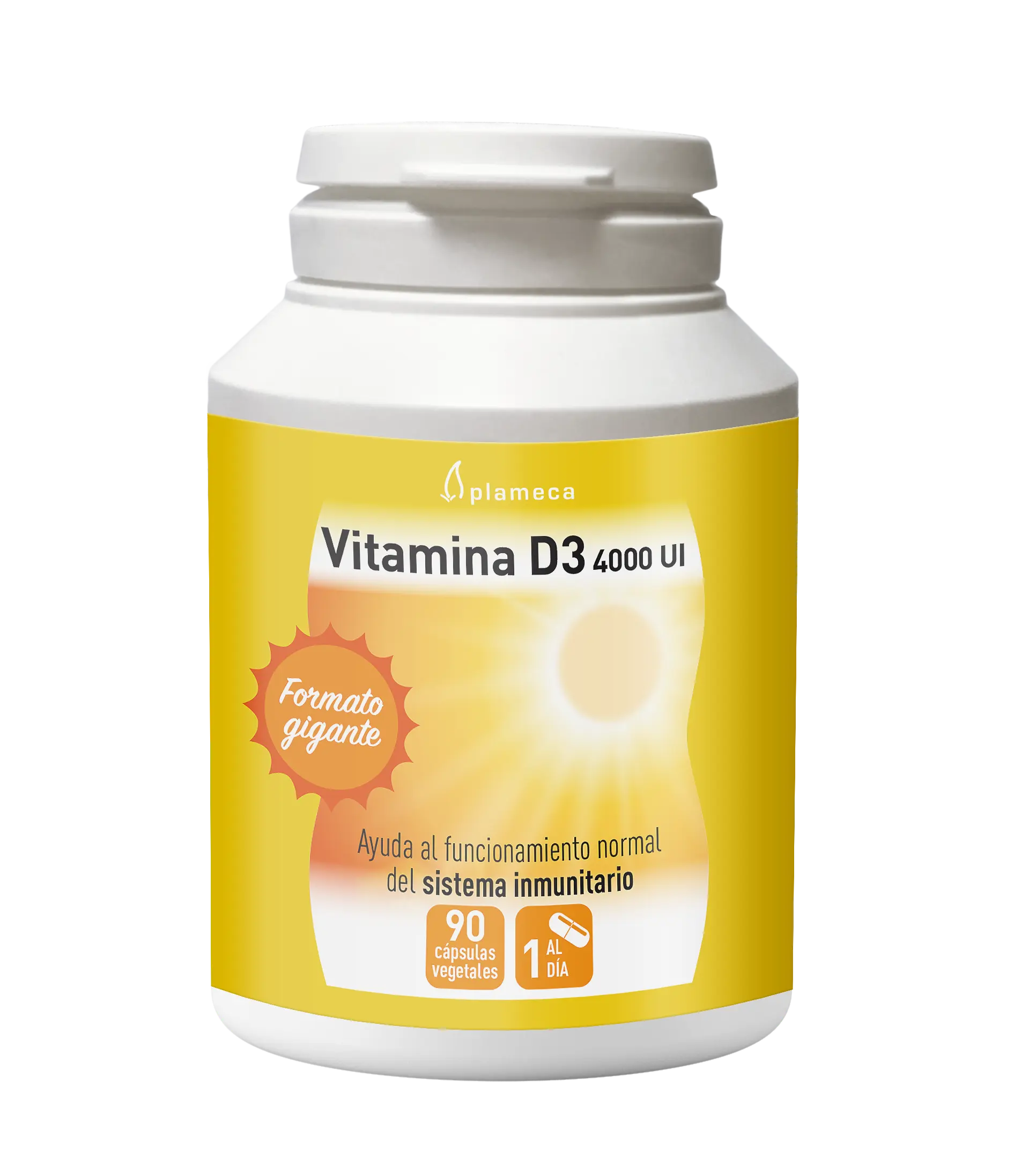 Plameca Vitamina D3 4000ui 90 Vcaps Jag Couture London - New York