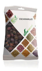 Jag Couture London - New York Soria Escaramujo 100 Grs