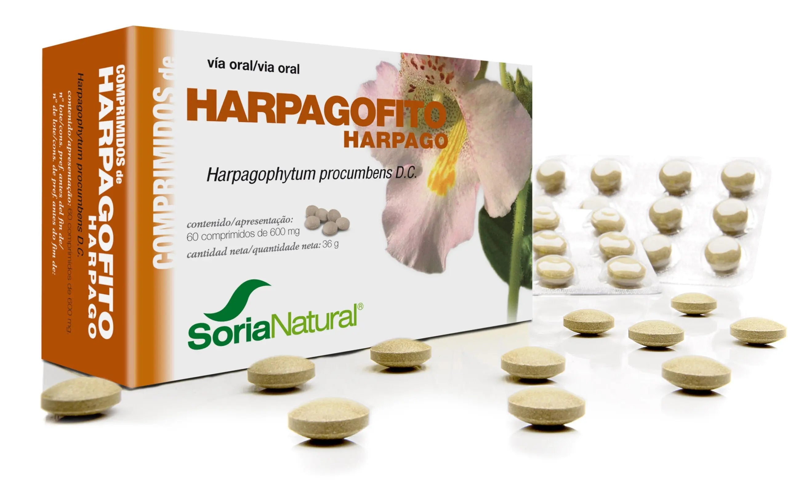 Soria Harpagofito 600 Mg 60 Comp Jag Couture London - New York