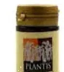 Jag Couture London - New York Trebol Rojo Plantis 60 Vcaps