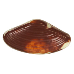 Jag Couture London - New York Seashells - Praline filled marbled seashells 12.5g - 14 trays