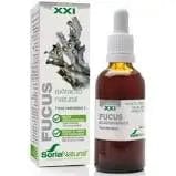 Jag Couture London - New York Soria Extracto Fucus S Xxi 50ml