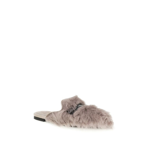 Gray Lamb Ovis Aries Mules