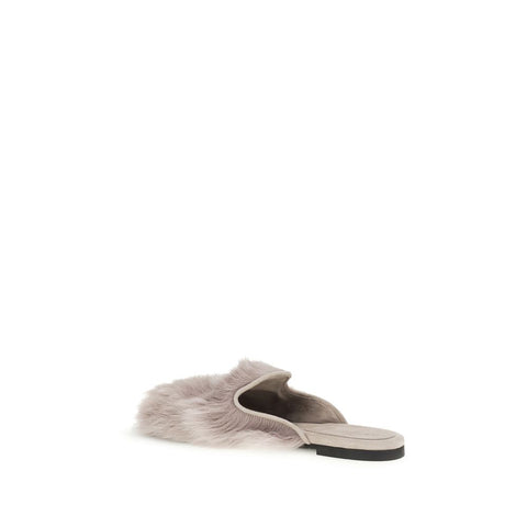 Gray Lamb Ovis Aries Mules