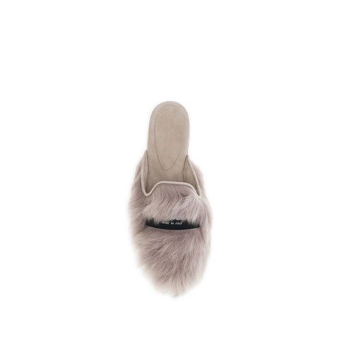 Gray Lamb Ovis Aries Mules
