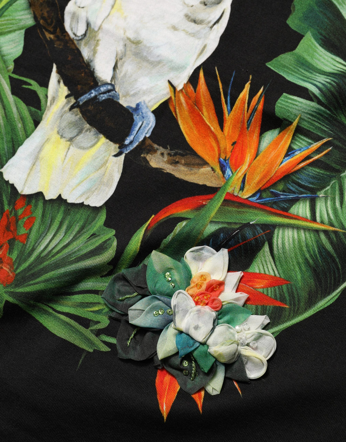 Black Tropical Print Cotton Round Neck T-Shirt