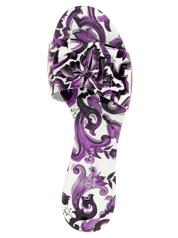 Purple Plastic Slides