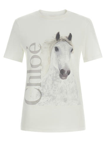White Cotton T-Shirt