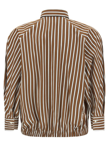 Brown Cotton Blouse