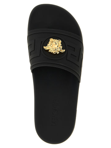 Black Glass Slides
