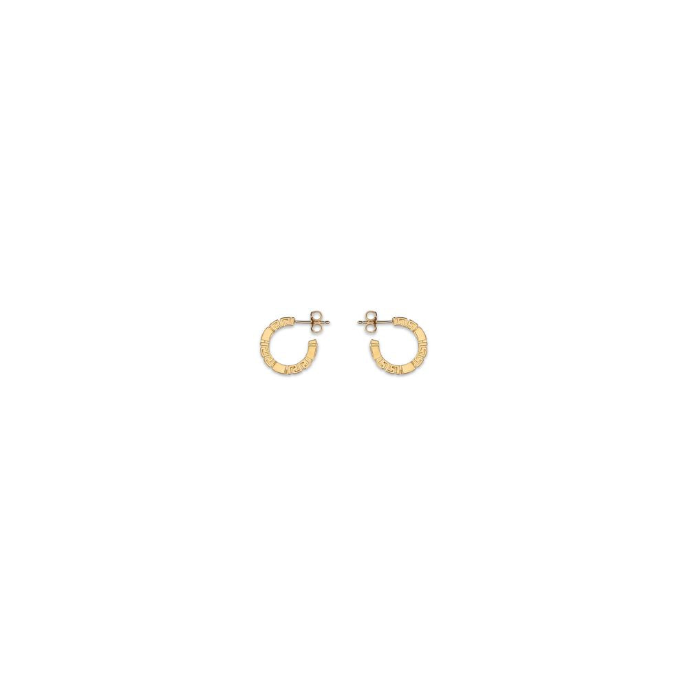 Gold Brass Earrings