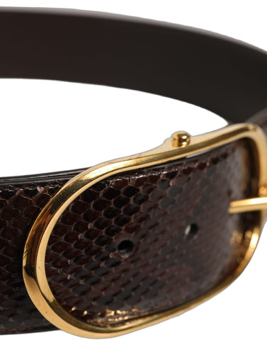 Brown Python Leather Gold Metal Buckle Belt