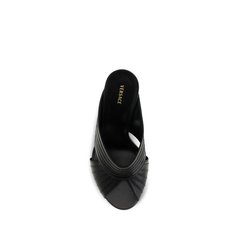 Black Lamb Ovis Aries Mules