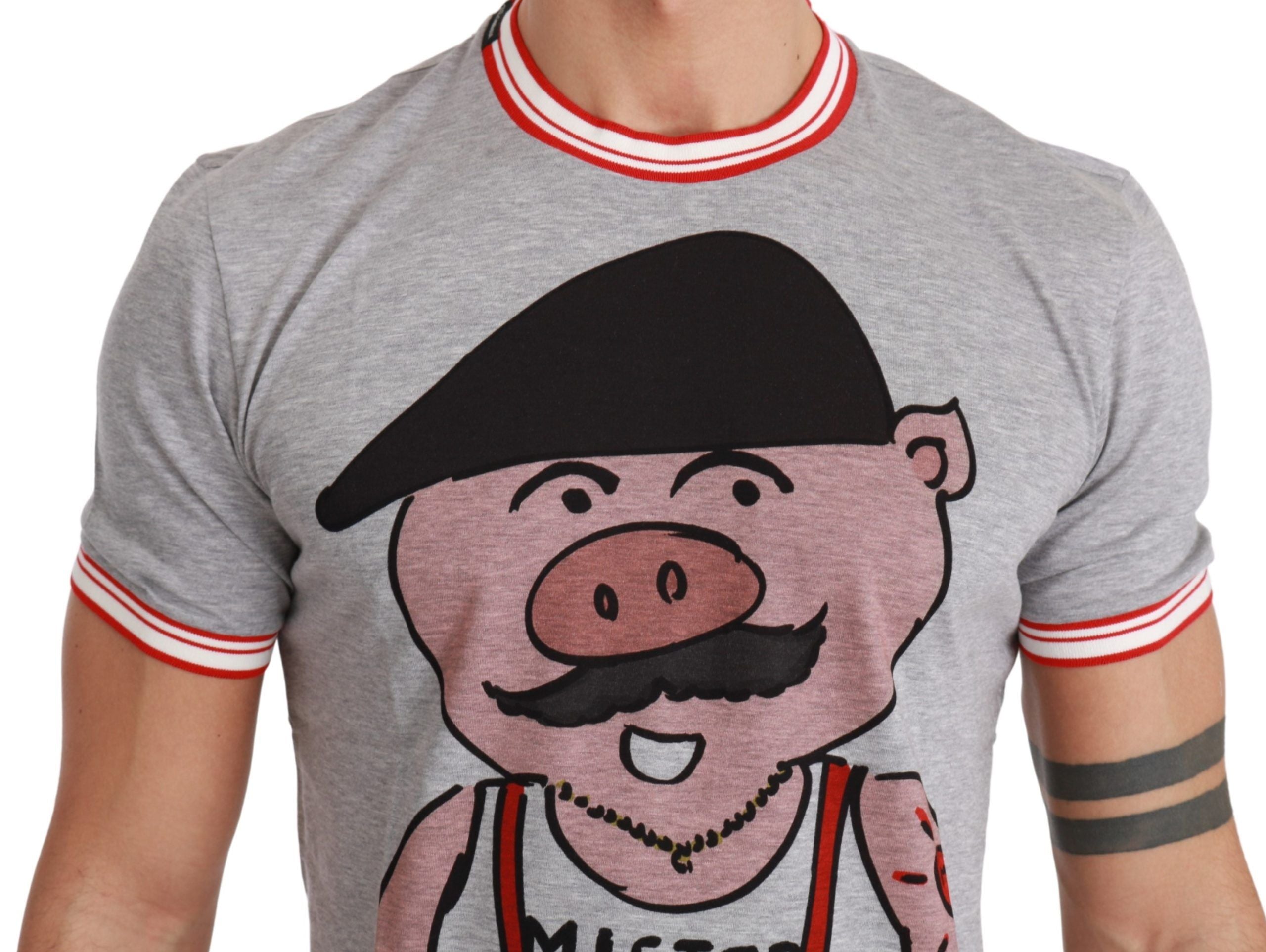 Gray cotton T-shirt featuring the 2019 Year of the Pig design by Dolce & Gabbana, with a casual fit and printed graphic.