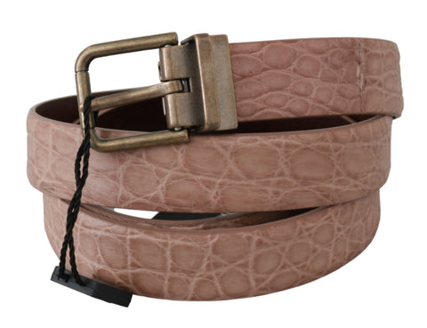 Beige exotic skin leather belt with gold buckle by Dolce & Gabbana, featuring a stylish and luxurious accessory design.