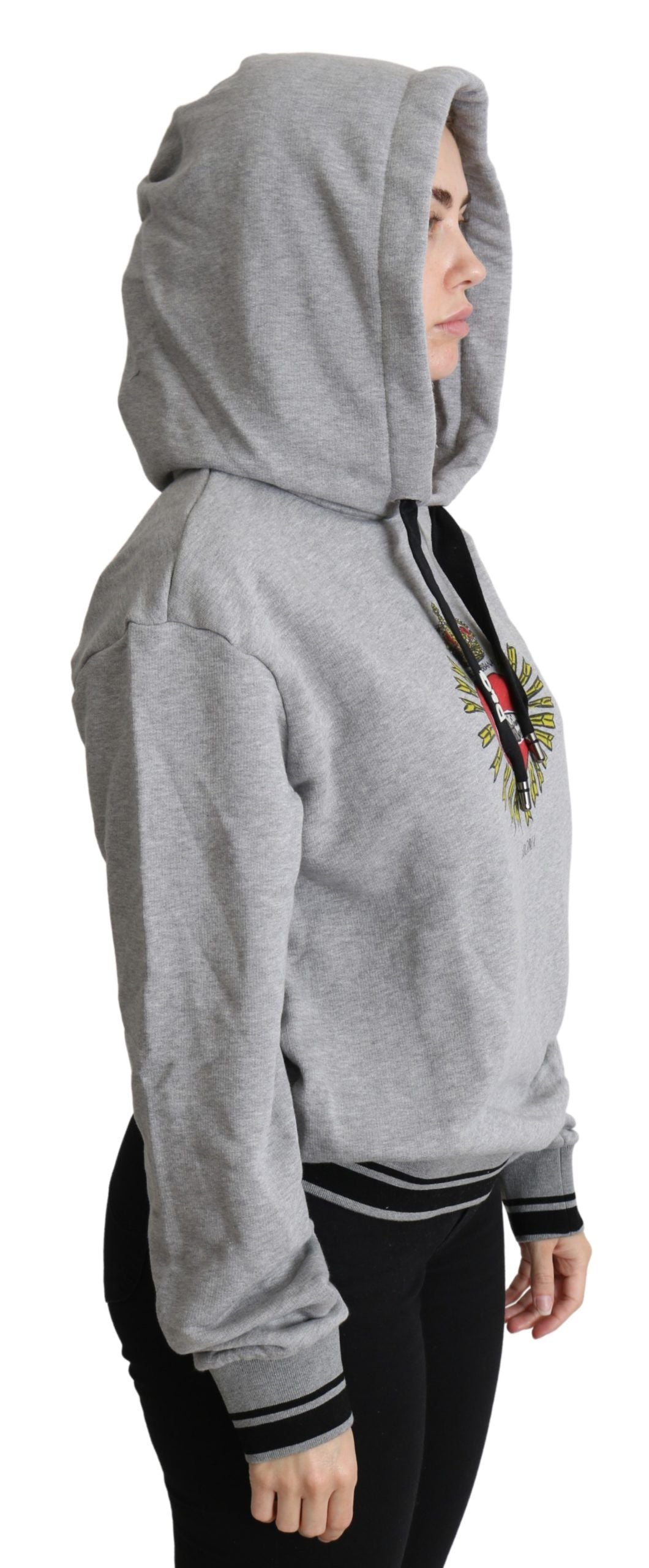 Gray printed hooded Dolce & Gabbana logo sweater with exclusive design, featuring a cozy fit and stylish branding.