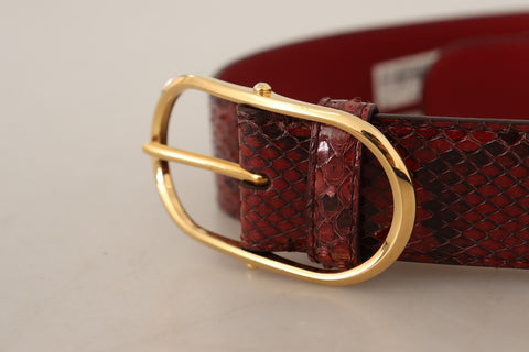 Red exotic leather belt with gold oval buckle from Dolce & Gabbana, featuring a sleek and stylish design.