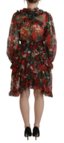 Multicolor Geranium A-line knee-length dress by Dolce & Gabbana with floral pattern and elegant silhouette.