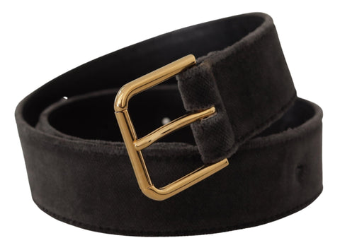 Brown velvet Dolce & Gabbana belt with gold-tone logo metal waist buckle and adjustable strap.
