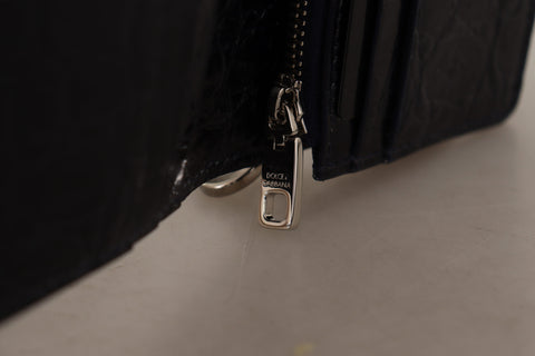 Blue and white Caiman leather strap card holder wallet by Dolce & Gabbana showing multiple card slots and sleek design.