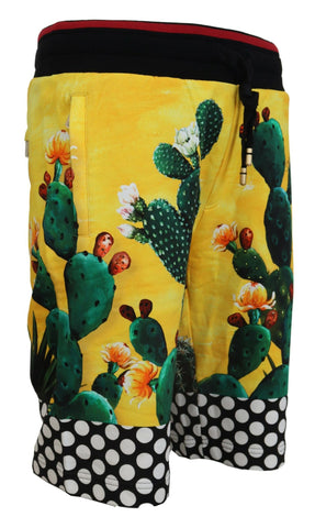 Multicolor cactus print cotton sweat shorts by Dolce & Gabbana featuring a vibrant cactus design on soft cotton fabric.