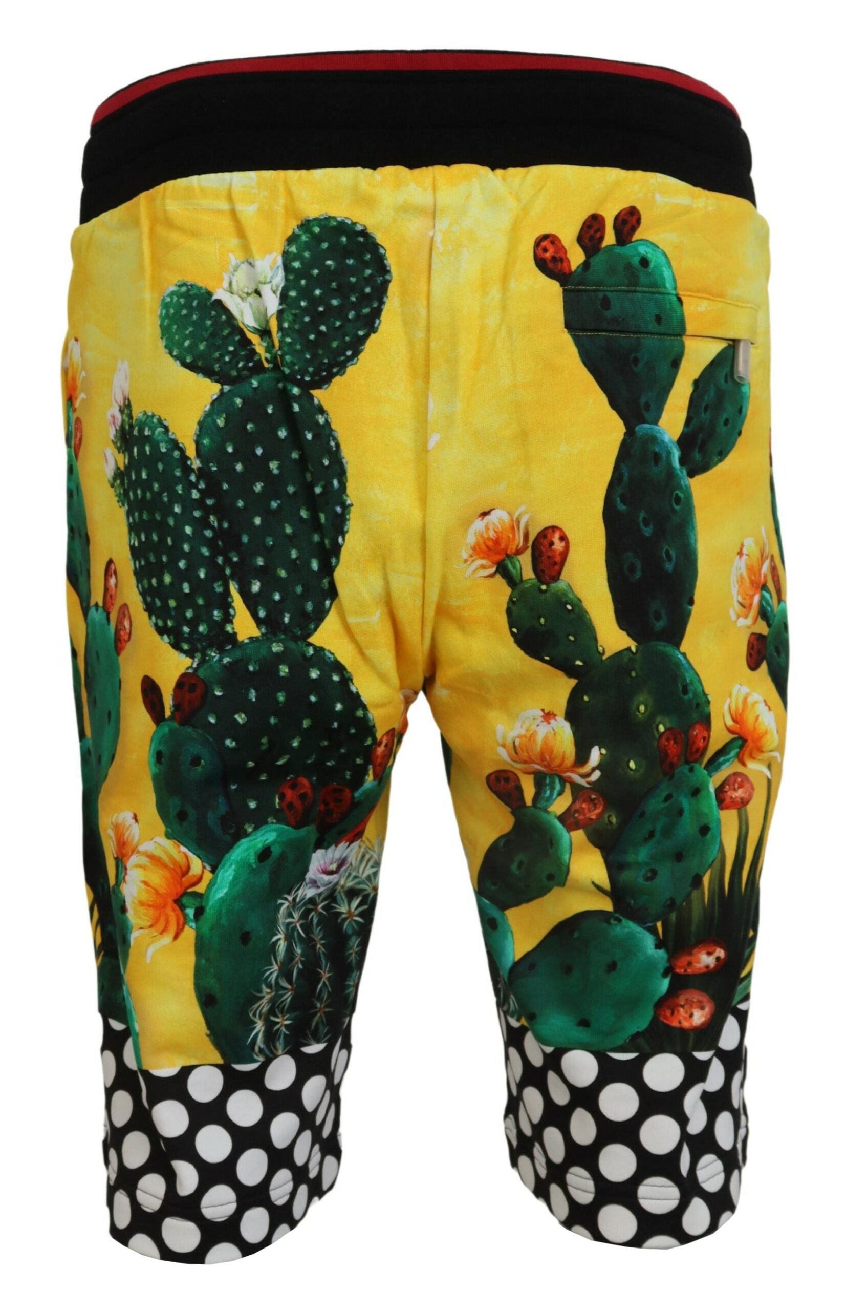 Multicolor cactus print cotton sweat shorts by Dolce & Gabbana, featuring a vibrant cactus pattern and comfortable fit.