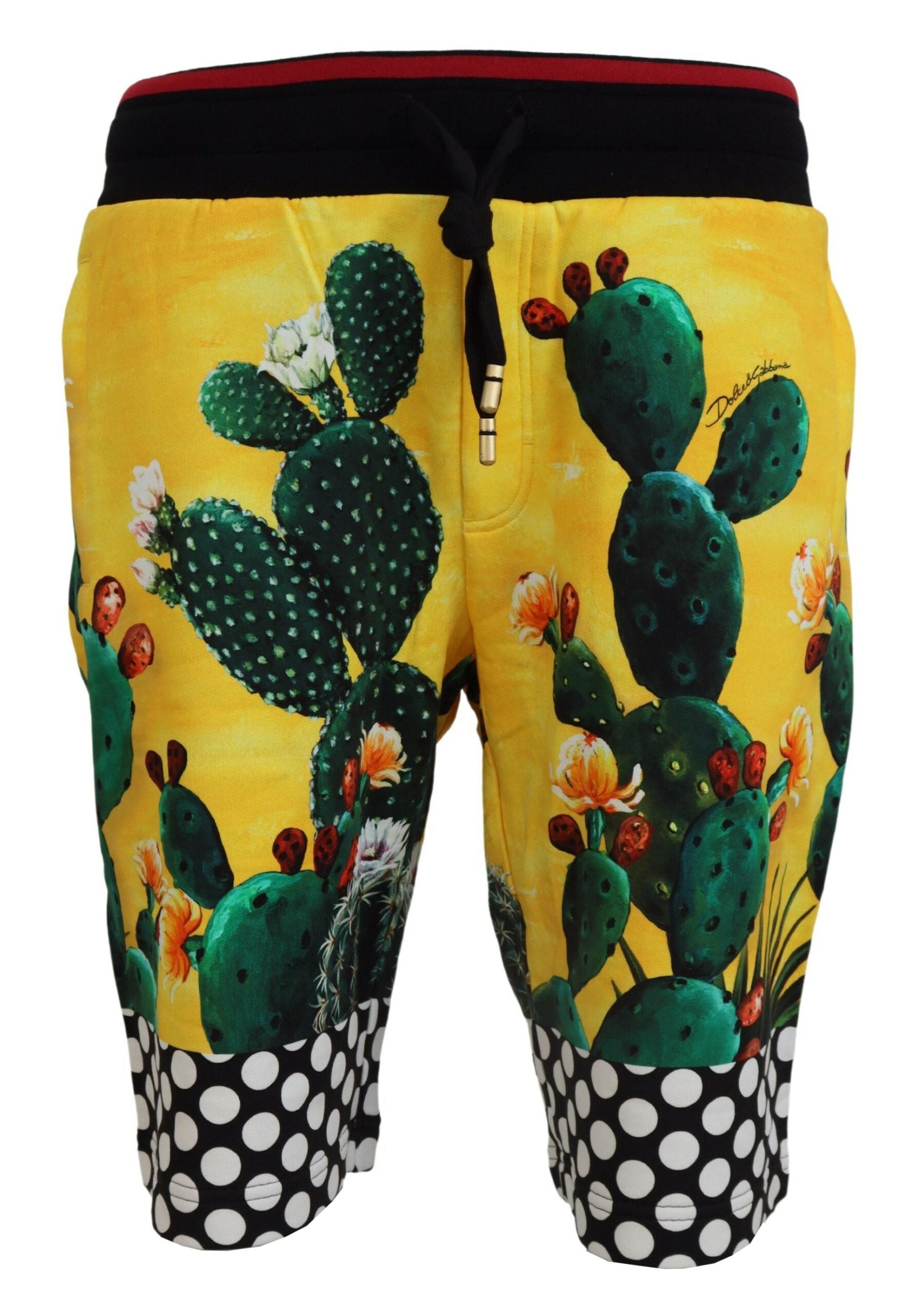 Multicolor cactus print cotton sweat shorts by Dolce & Gabbana, featuring a vibrant, casual design with a relaxed fit.