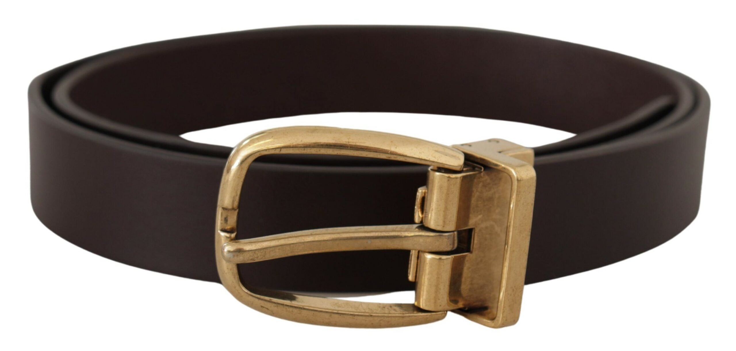 Dark brown calf leather belt with gold tone metal buckle by Dolce & Gabbana, showing the detailed leather and polished buckle.