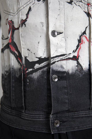 Dolce & Gabbana multicolor cotton denim jacket with a collared design and button-front closure, shown on a hanger.