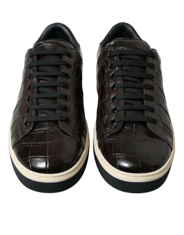 Brown croc-exotic leather men's casual sneakers by Dolce & Gabbana with stylish design and textured finish.