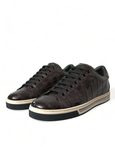 Brown croc-embossed leather men's casual sneakers by Dolce & Gabbana, featuring a stylish and textured design.