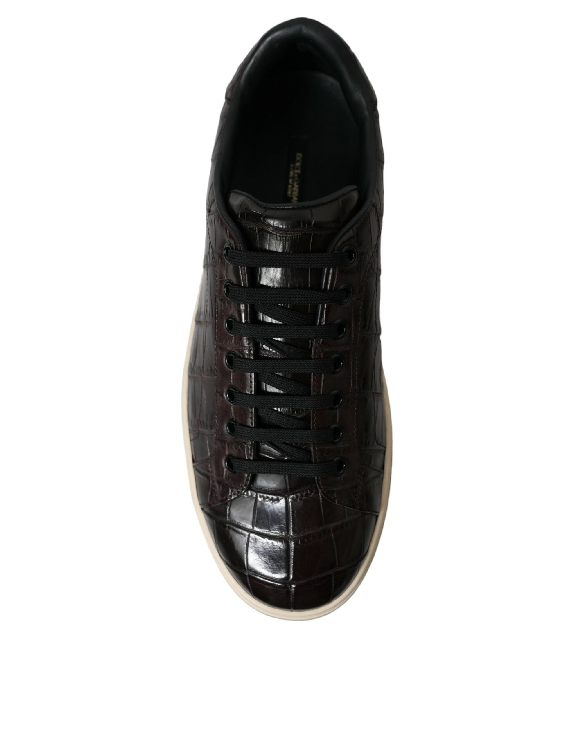 Brown croc exotic leather casual sneakers for men by Dolce & Gabbana, featuring textured leather and stylish design.
