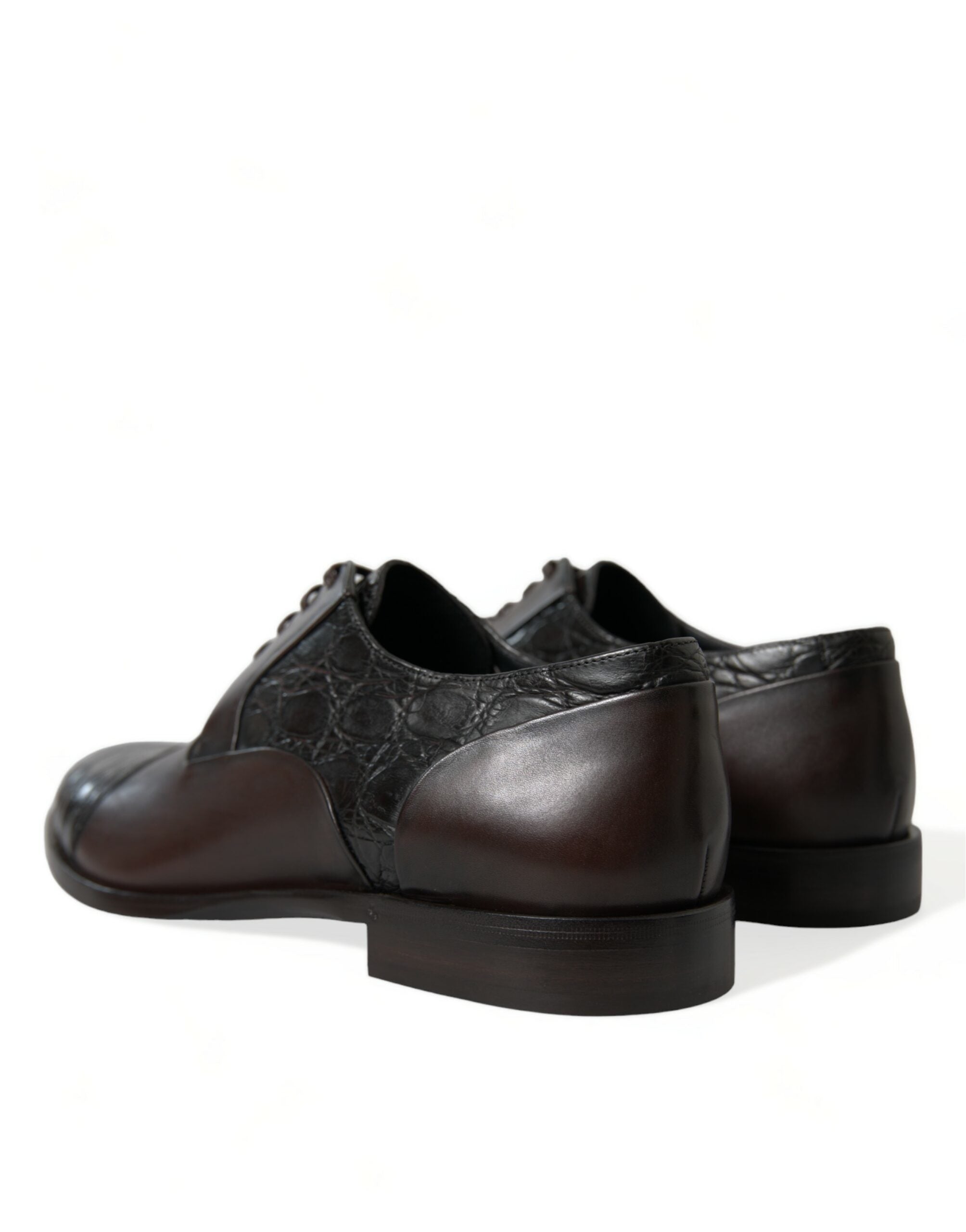 Brown exotic leather formal men's dress shoes by Dolce & Gabbana, showcasing sleek design and polished finish.