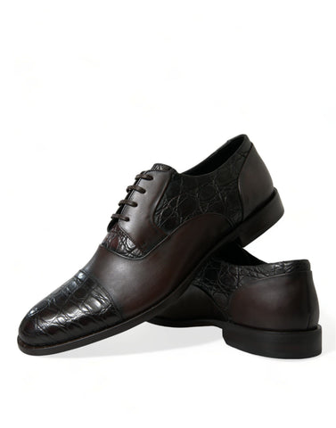 Brown exotic leather formal men's dress shoes by Dolce & Gabbana, featuring sleek design and polished finish.