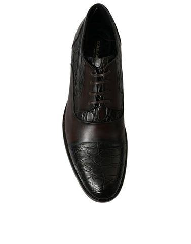 Brown exotic leather formal men's dress shoes by Dolce & Gabbana, featuring polished finish and classic design.