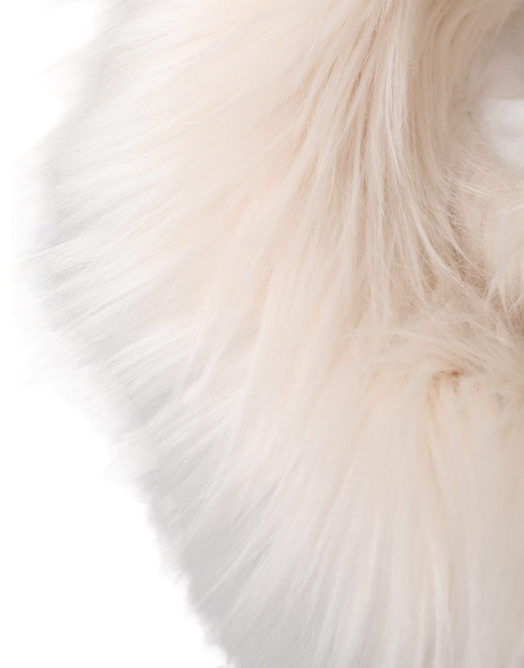 White acrylic fur women's bucket hat by Dolce & Gabbana, showing a stylish, plush hat with a wide brim and textured fur surface.