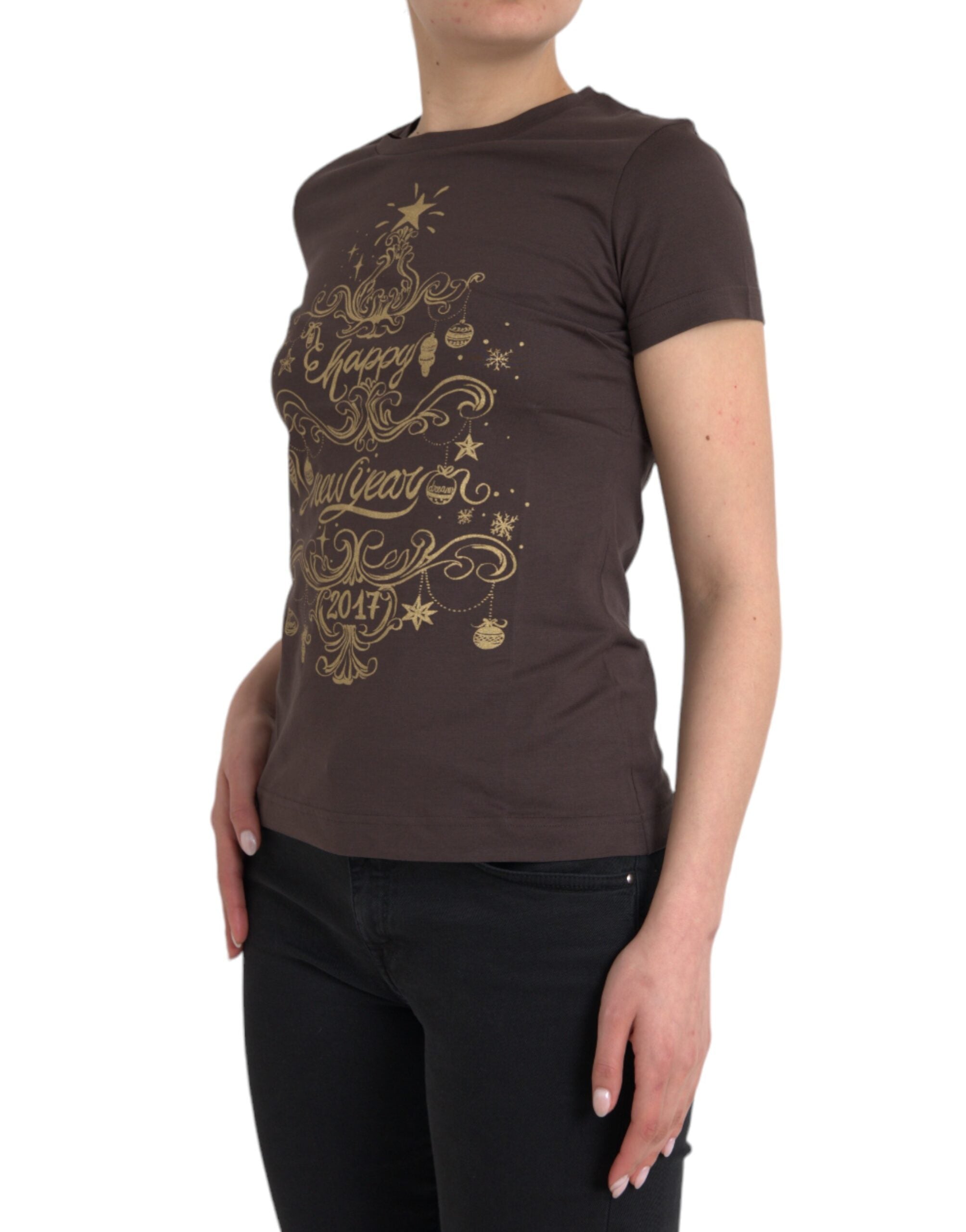 Dolce & Gabbana brown crewneck T-shirt with 2017 motive print, casual men's clothing, front view.