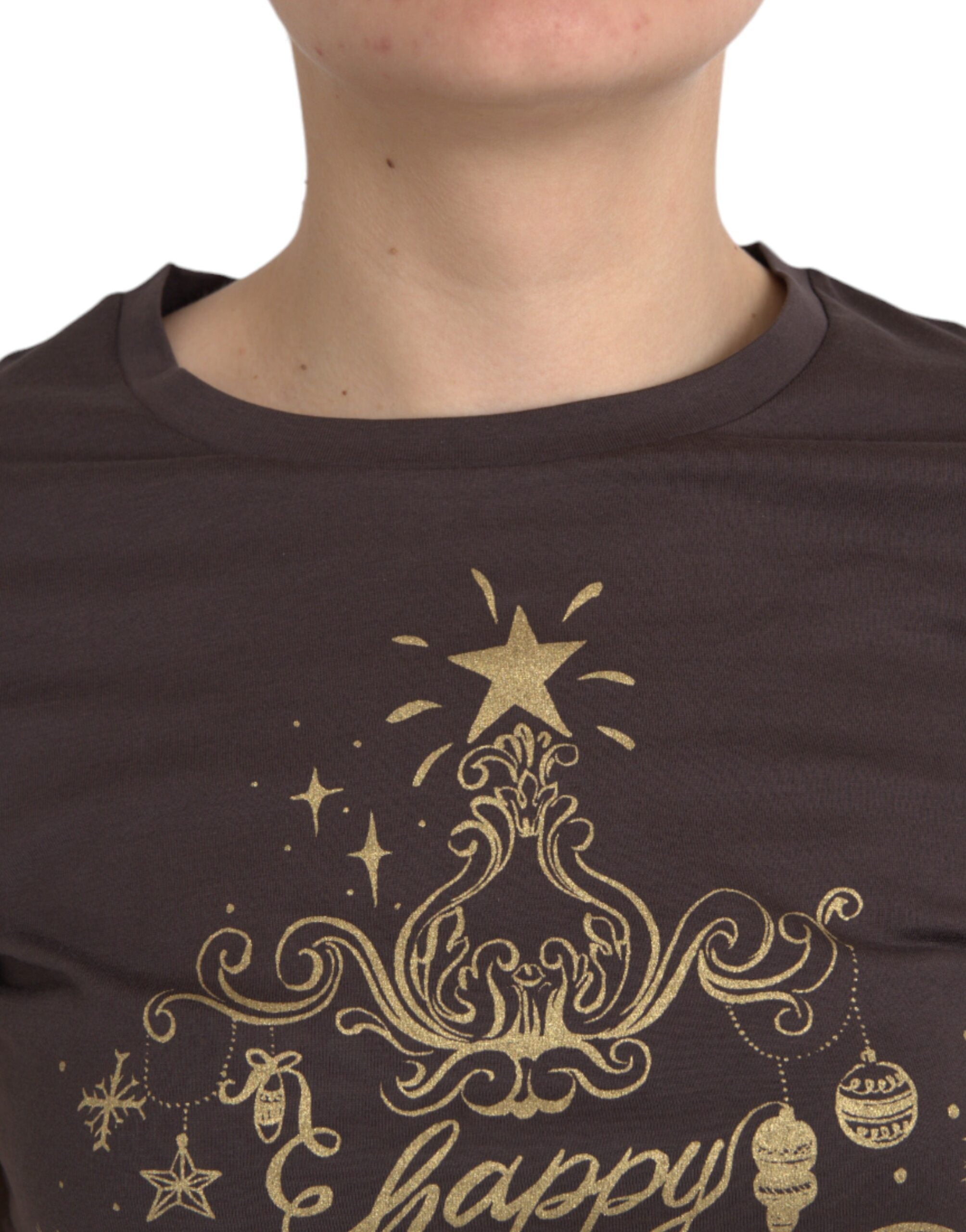 Brown Dolce & Gabbana crewneck T-shirt with 2017 motive print, casual fit, and soft fabric, displayed on a hanger.