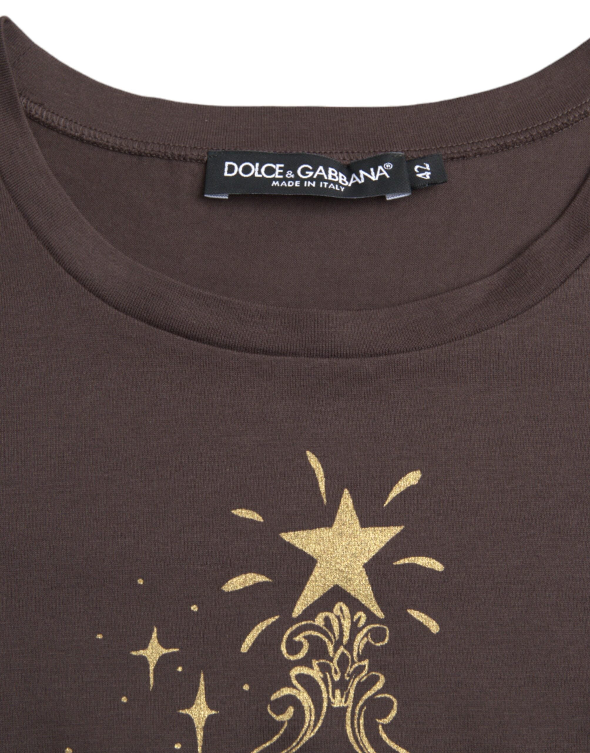 Brown Dolce & Gabbana crewneck T-shirt with 2017 motive print, featuring casual fit and stylish graphic design.