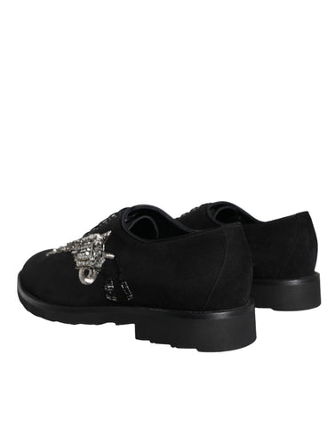 Black suede Sicilia lace-up formal shoes by Dolce & Gabbana, featuring sleek design and classic craftsmanship.