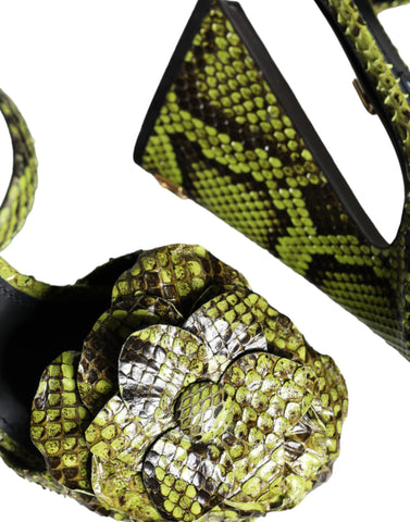 Green exotic leather ankle strap heels sandals by Dolce & Gabbana with stiletto heels and open toe design.
