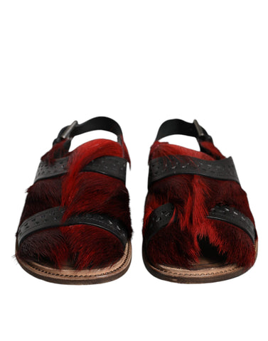 Black and red Gazelle Hair Leather sandals by Dolce & Gabbana, featuring sleek straps and stylish design.