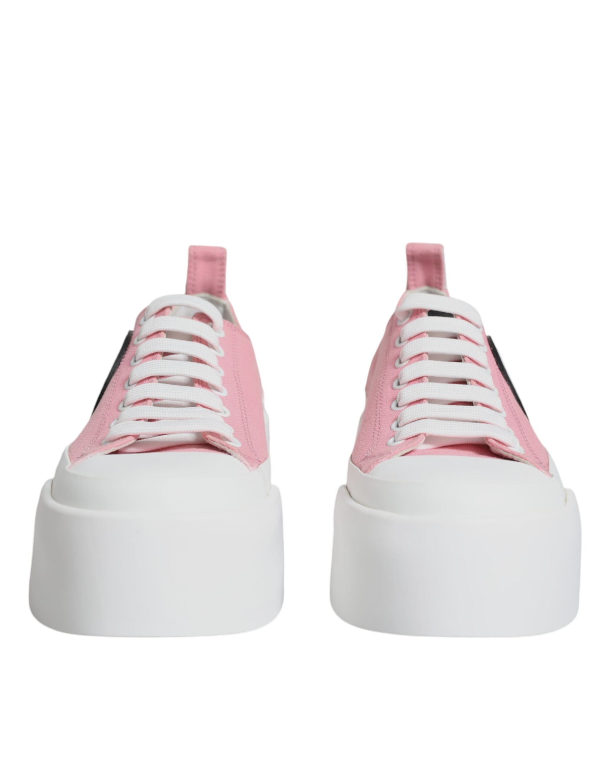 Pink and white canvas low-top sneakers with logo detail from Dolce & Gabbana, featuring a stylish and casual design.