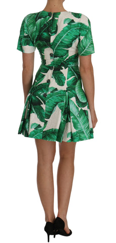 Dolce & Gabbana A-line dress with banana leaf and pineapple crystal embellishments, featuring a vibrant tropical print and elegant silhouette.