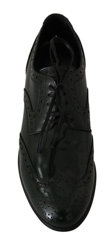 Green leather brogue oxford wingtip shoes by Dolce & Gabbana, featuring detailed wingtip design and classic lace-up style.